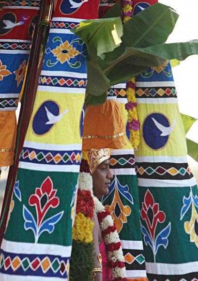 IMG_9966_CMP_WM_batch