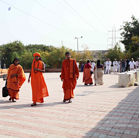 IMG_6894_CMP_WM_batch