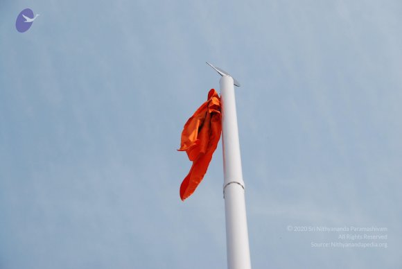 DSC_1993_CMP_WM
