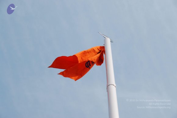 DSC_1995_CMP_WM