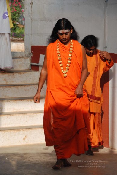 20100106_Photo_1006_DSC_5304_CMP_WM