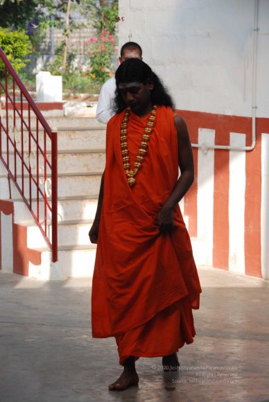 20100106_Photo_1012_DSC_5306_CMP_WM