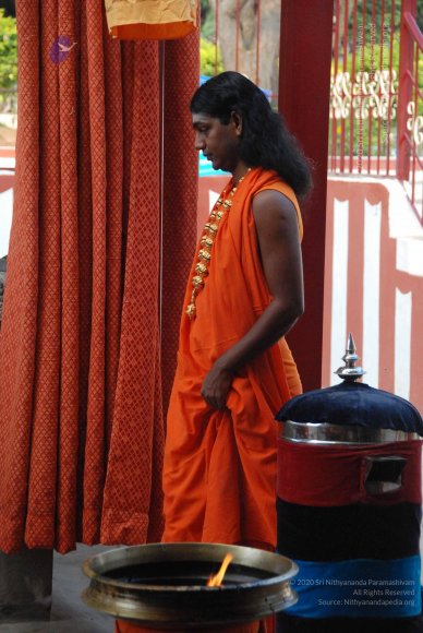 20100106_Photo_1013_DSC_5308_CMP_WM