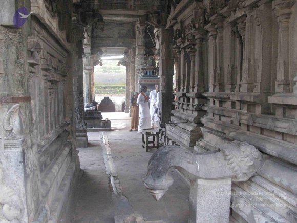 20100107_Photo_1002_IMG_2322_CMP_WM