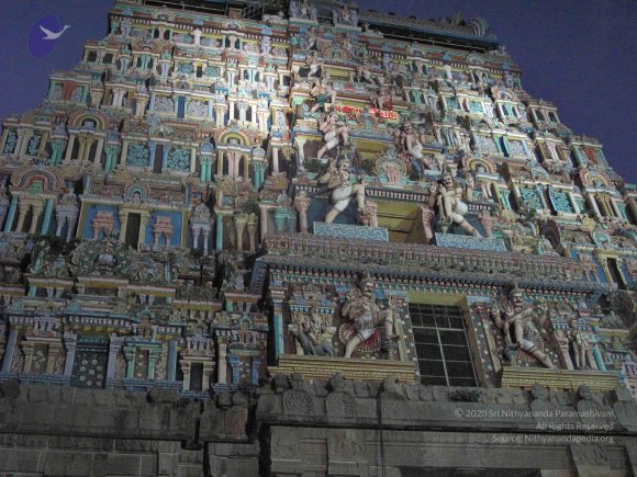 20100107_Photo_1004_IMG_2348_CMP_WM