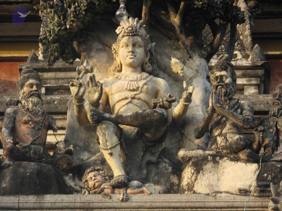 20100107_Photo_1005_IMG_2282_CMP_WM