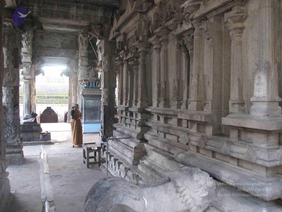 20100107_Photo_1006_IMG_2325_CMP_WM