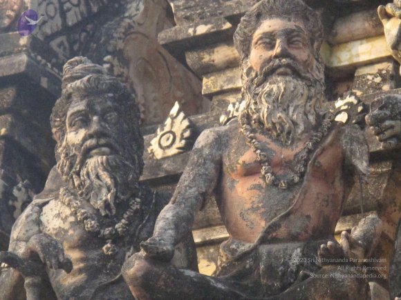 20100107_Photo_1007_IMG_2284_CMP_WM