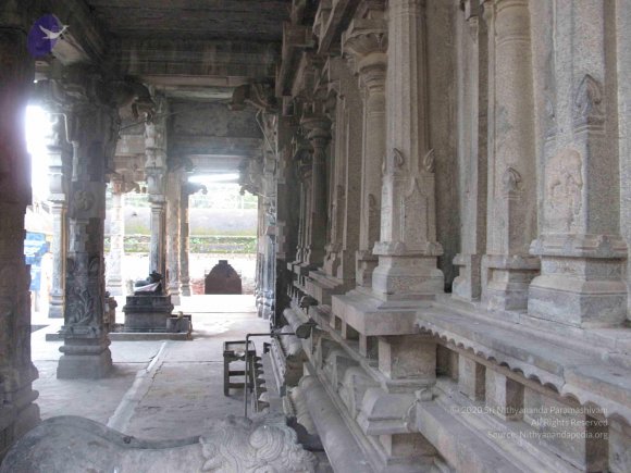 20100107_Photo_1008_IMG_2326_CMP_WM