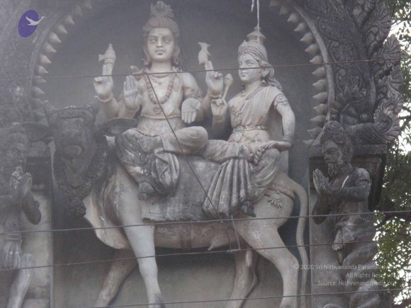 20100107_Photo_1009_IMG_2332_CMP_WM