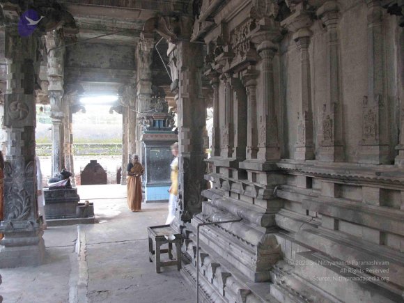 20100107_Photo_1010_IMG_2324_CMP_WM