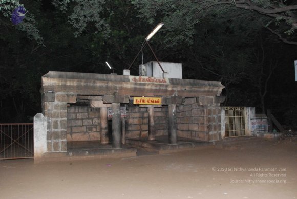 20100107_Photo_1000_DSC_5569_CMP_WM