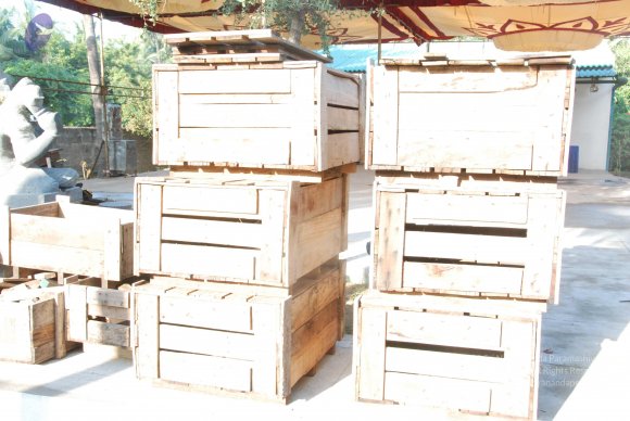 20100112_Photo_1011_DSC_9320_CMP_WM