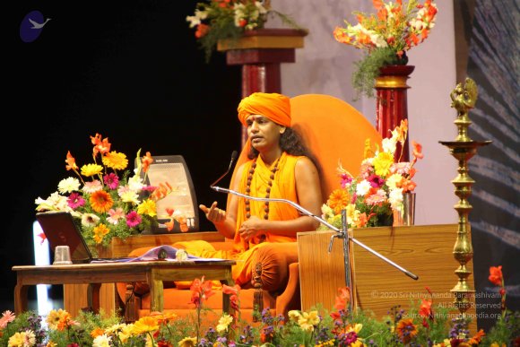 20100120_Photo_1046_IMG_1817_CMP_WM