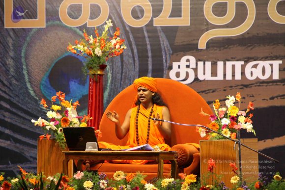 20100120_Photo_1230_IMG_1826_CMP_WM