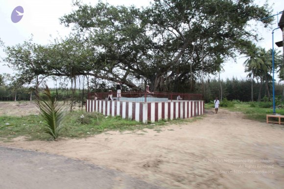 20100120_Photo_1010_IMG_1602_CMP_WM