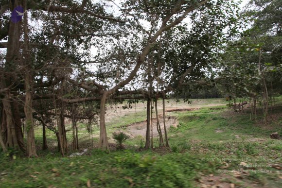 20100120_Photo_1020_IMG_1599_CMP_WM