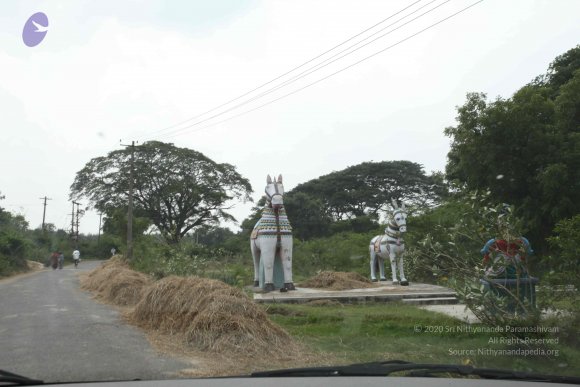 20100120_Photo_1037_IMG_1596_CMP_WM