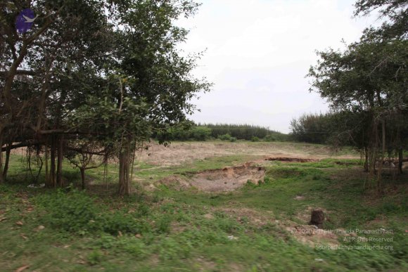 20100120_Photo_1041_IMG_1600_CMP_WM