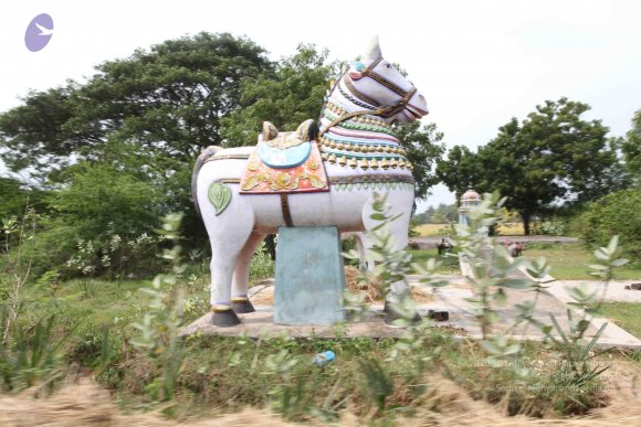 20100120_Photo_1042_IMG_1649_CMP_WM