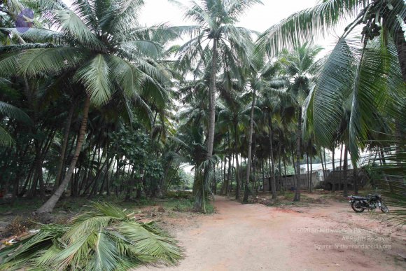 20100120_Photo_1102_IMG_1468_CMP_WM