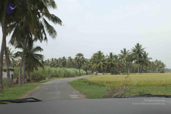 20100120_Photo_1107_IMG_1592_CMP_WM