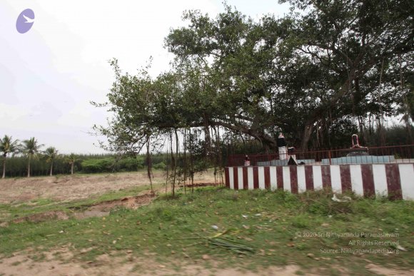 20100120_Photo_1118_IMG_1601_CMP_WM