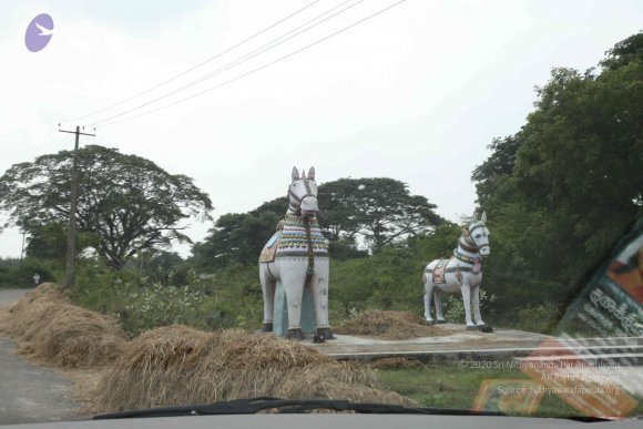 20100120_Photo_1120_IMG_1597_CMP_WM