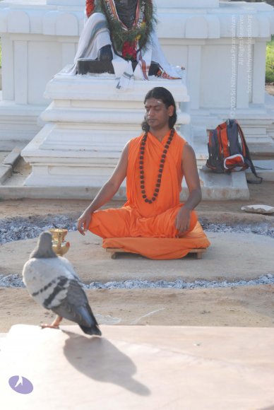 20100710_Photo_1017_DSC_7609_CMP_WM