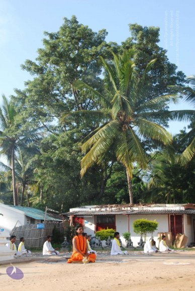 20100710_Photo_1033_DSC_7648_CMP_WM