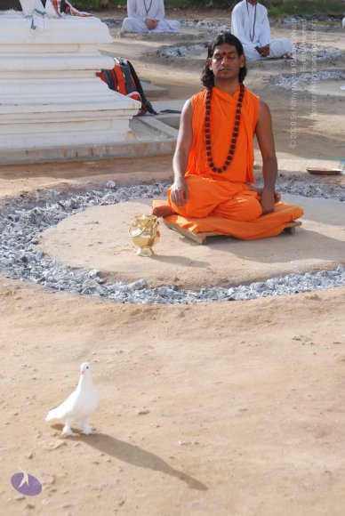 20100710_Photo_1088_DSC_7705_CMP_WM