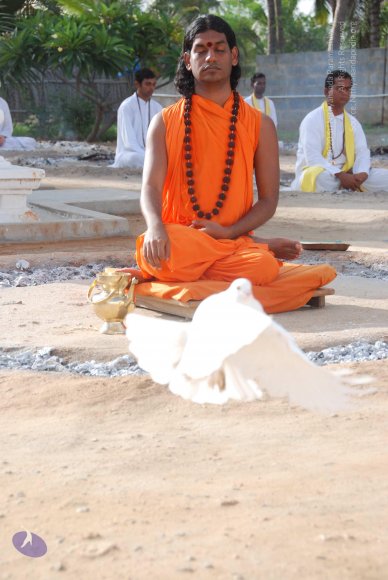 20100710_Photo_1135_DSC_7707_CMP_WM