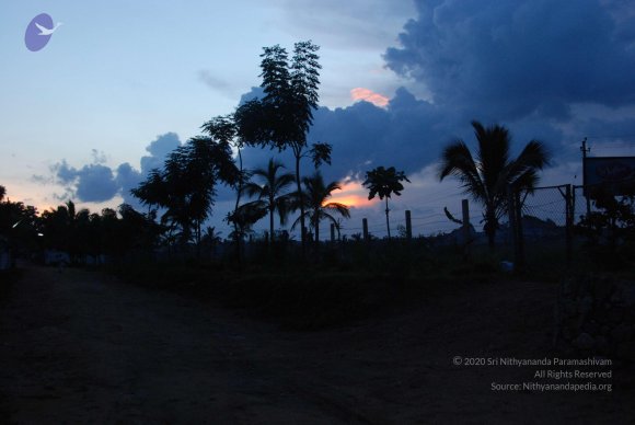 20100710_Photo_1002_DSC_7941_CMP_WM