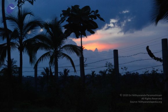 20100710_Photo_1017_DSC_7947_CMP_WM