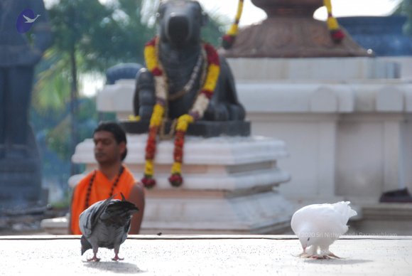 20100717_Photo_1005_DSC_1657_CMP_WM