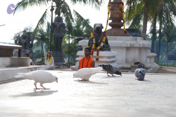 20100717_Photo_1007_DSC_1659_CMP_WM