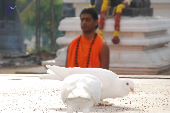 20100717_Photo_1008_DSC_1660_CMP_WM