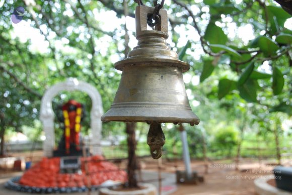 20100717_Photo_1011_DSC_1678_CMP_WM