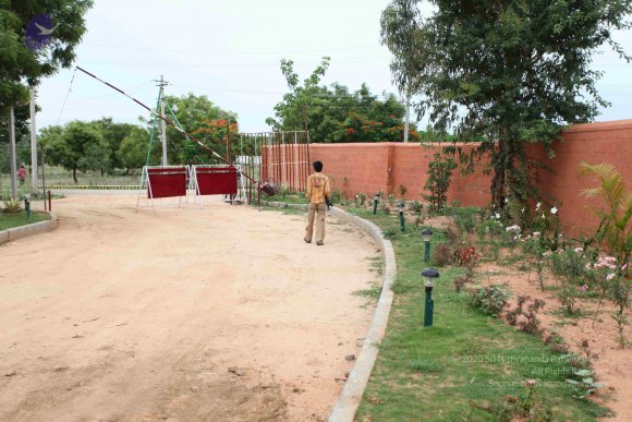 20100614_Photo_1183_IMG_6998_CMP_WM