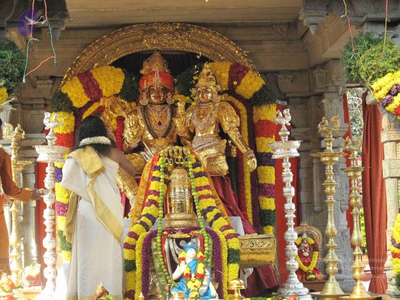 20100101_Photo_1002_IMG_1540_CMP_WM