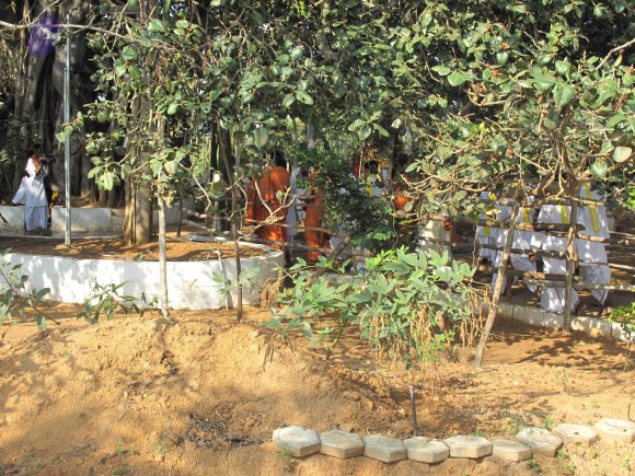 20100101_Photo_1004_IMG_1518_CMP_WM