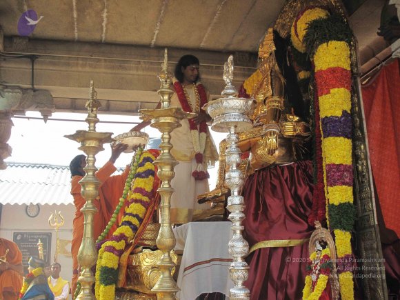 20100101_Photo_1008_IMG_1494_CMP_WM