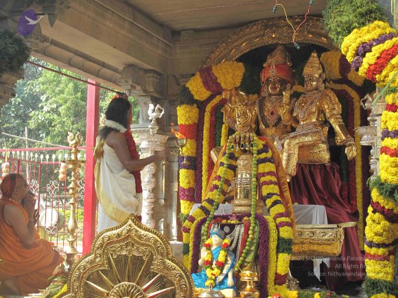 20100101_Photo_1011_IMG_1510_CMP_WM