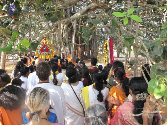 20100101_Photo_1015_IMG_1520_CMP_WM