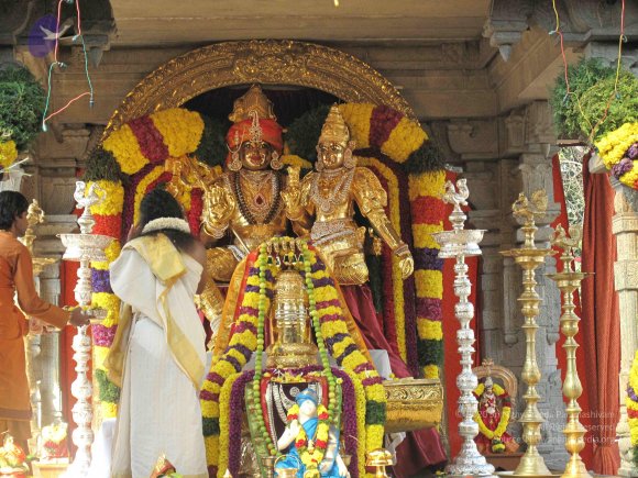 20100101_Photo_1024_IMG_1539_CMP_WM