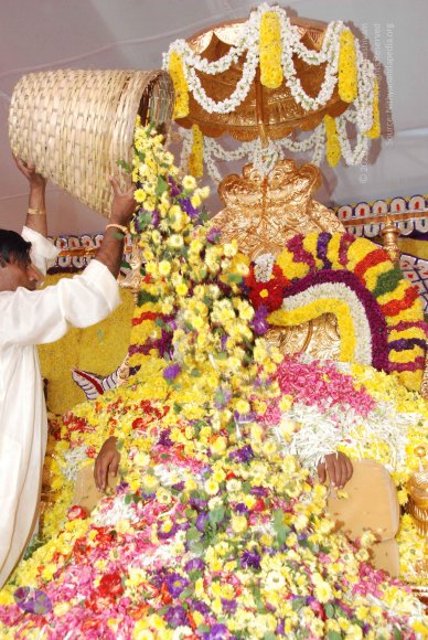 20100101_Photo_1354_DSC_2180_CMP_WM