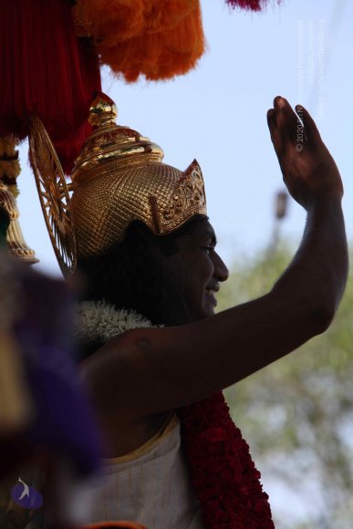 20100101_Photo_1039_IMG_4659_CMP_WM