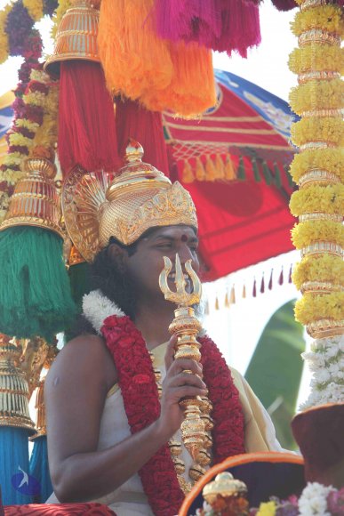 20100101_Photo_1059_IMG_4438_CMP_WM