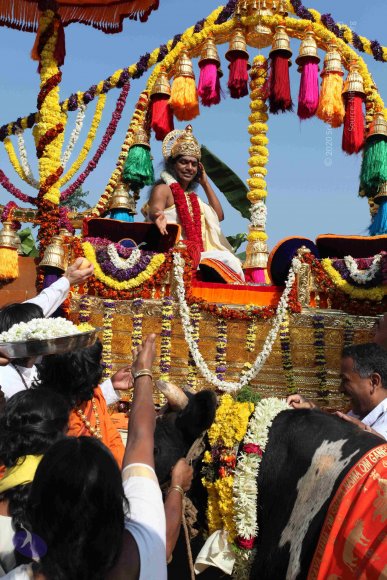 20100101_Photo_1132_IMG_4682_CMP_WM