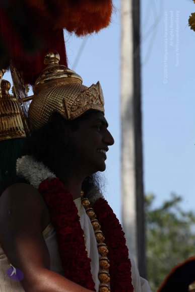 20100101_Photo_1156_IMG_4661_CMP_WM